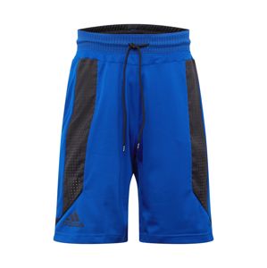 ADIDAS PERFORMANCE Sportovní kalhoty 'C365 Short'  modrá / černá
