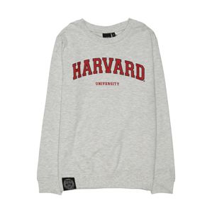 NAME IT Mikina 'Harvard University'  šedý melír