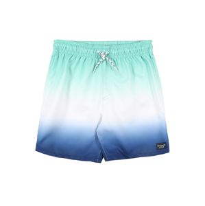 Abercrombie & Fitch Plavecké šortky  zelená / bílá / modrá