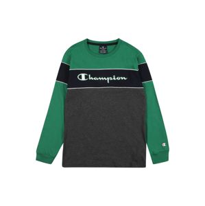 Champion Authentic Athletic Apparel Tričko  zelená / tmavě šedá / noční modrá / offwhite