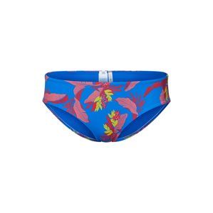 Tommy Hilfiger Underwear Spodní díl plavek  modrá / mix barev
