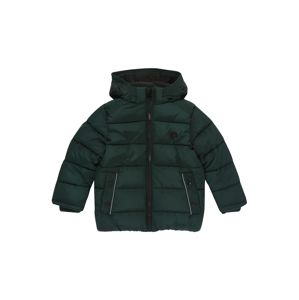 REVIEW FOR KIDS Zimní bunda 'KB-19-J802'  zelená