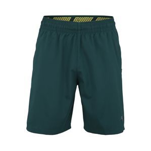 PUMA Sportovní kalhoty 'A.C.E.'  tmavě zelená
