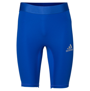 ADIDAS PERFORMANCE Sportovní spodní prádlo  modrá / stříbrná