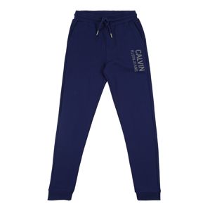 Calvin Klein Jeans Kalhoty  modrá / šedá