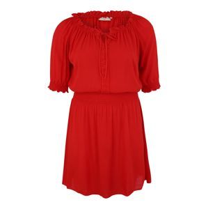 ONLY Carmakoma Letní šaty 'Danica'  ohnivá červená