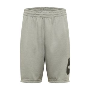 Nike SB Kalhoty 'Sunday'  světle šedá / černá