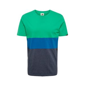 Ragwear Tričko 'VAN'  modrá / marine modrá / zelená
