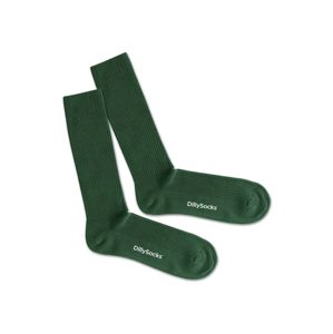DillySocks Ponožky  tmavě zelená / bílá